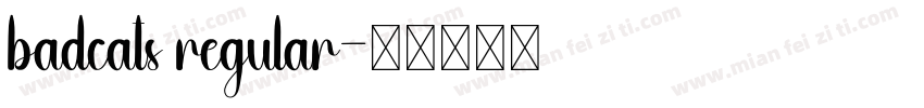 badcats regular字体转换